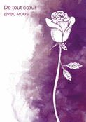 Rose et douce pens&eacute;e en violet